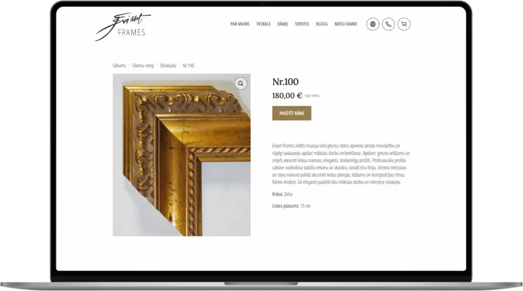 Eviart frames UI UX design Custom development Strategy SEO optimisation quo build portfolio desktop view