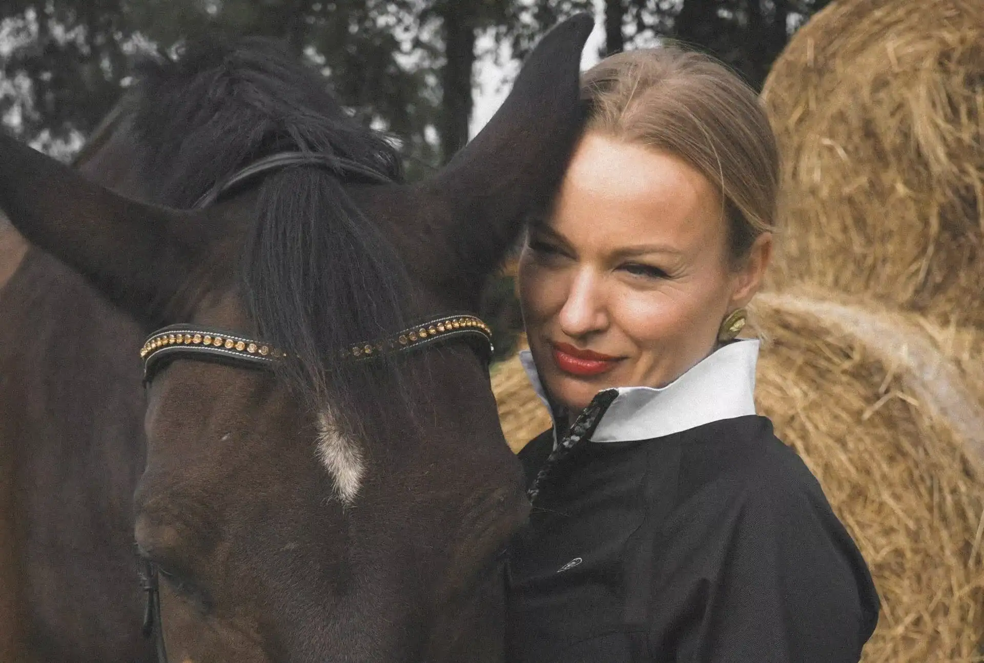 other equestrian website design ippeas