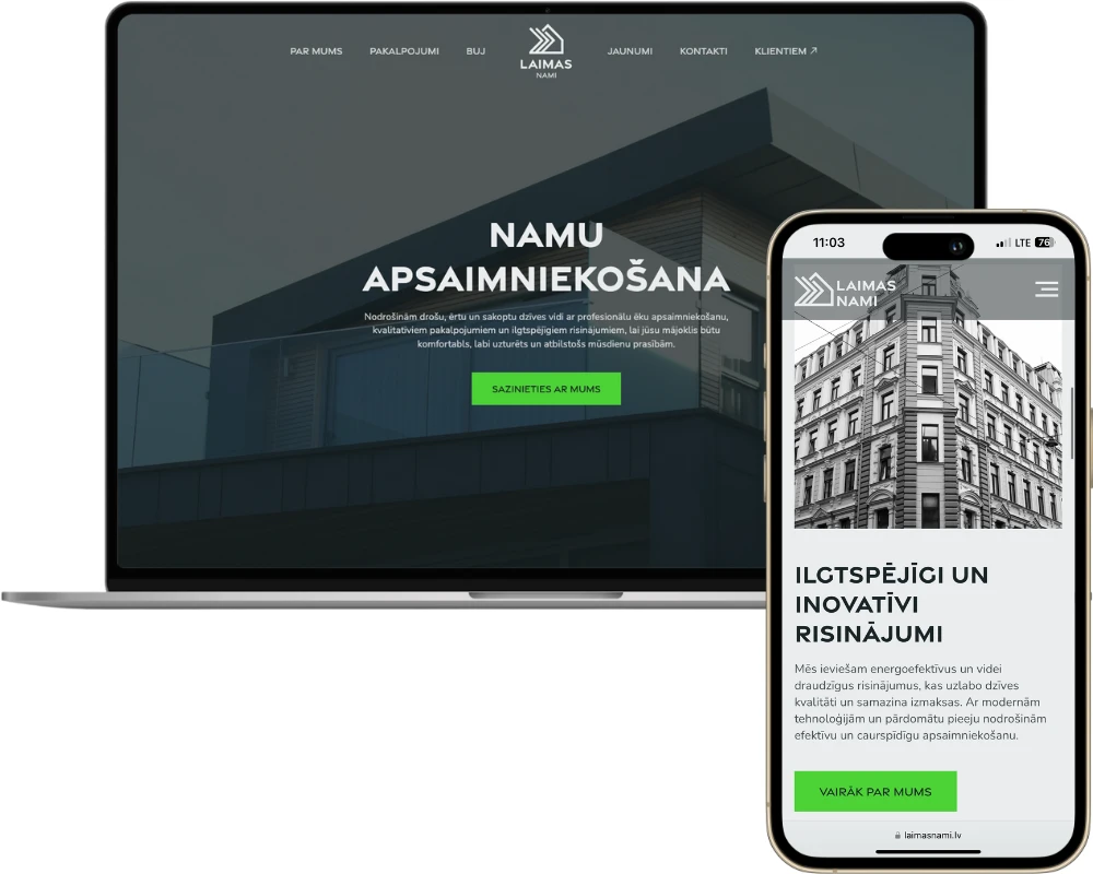 Laimas nami project overview